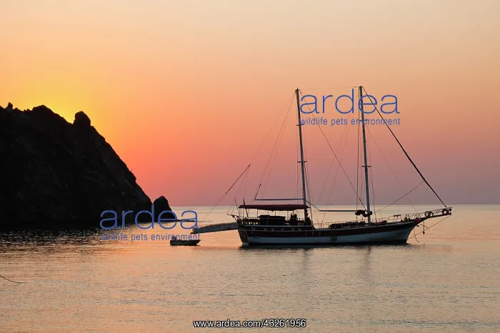 : Sailboat on the sea at sunrise, Cirali, Lycian coast : Sailboat on the sea at sunrise, Cirali, Lycian coast