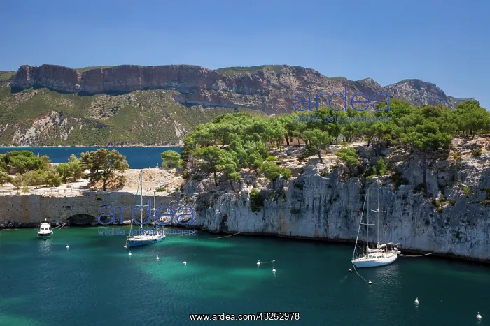 : Sailboats moored in one of the Calanques : Sailboats moored in one of the Calanques