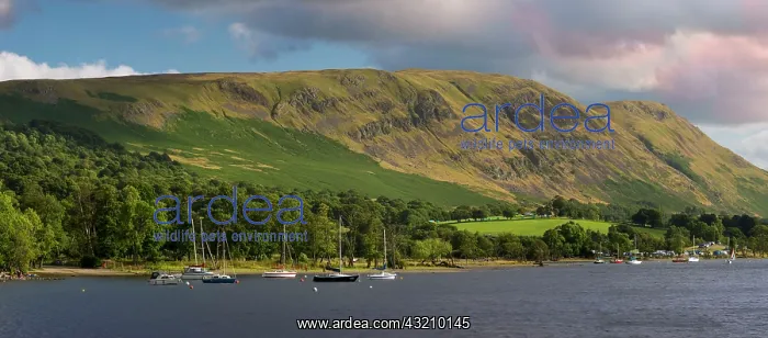: Sailboats and the mountains surrounding Ullswater : Sailboats and the mountains surrounding Ullswater