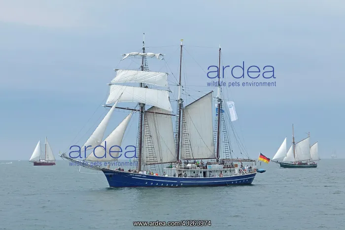 : Sailing boat, barque, Hanse Sail, Rostock, Mecklenburg-Weste : Sailing boat, barque, Hanse Sail, Rostock, Mecklenburg-Weste