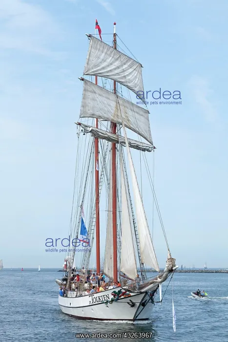 : Sailing boat, brig, Hanse Sail, Rostock, Mecklenburg-Western : Sailing boat, brig, Hanse Sail, Rostock, Mecklenburg-Western
