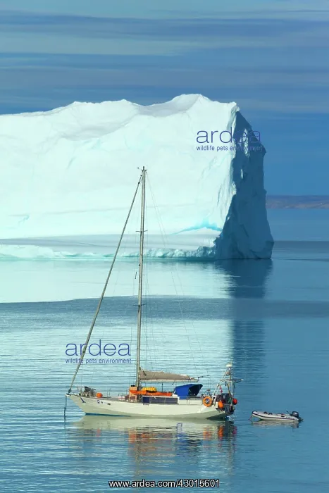 : Sailing Boat with iceberg in the background Arctic Summer : Sailing Boat with iceberg in the background Arctic Summer