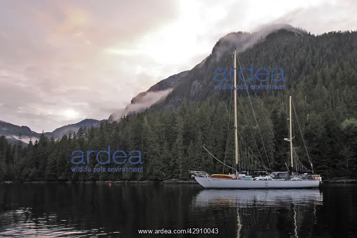 : Sailing Boat - of the North West coast of British : Sailing Boat - of the North West coast of British
