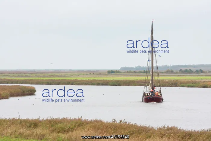 : Sailing boat sailing through a stream : Sailing boat sailing through a stream