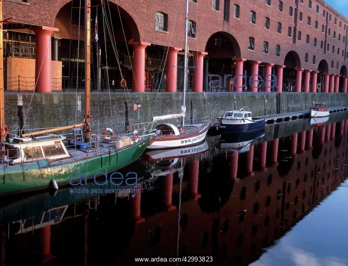 : Sailing Boats : Sailing Boats
