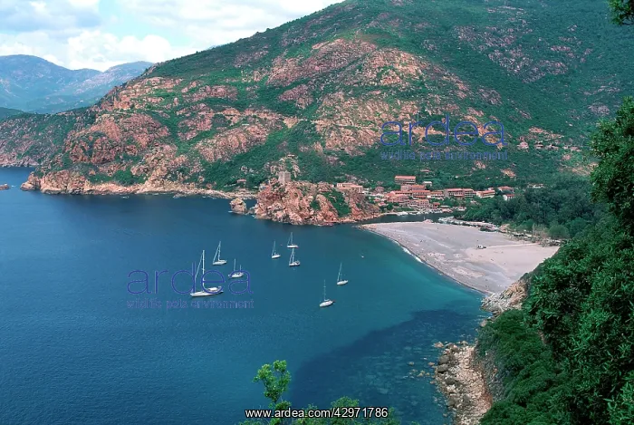 : Sailing boats and beach - PortoIs Gulf and the : Sailing boats and beach - PortoIs Gulf and the