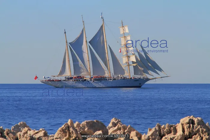 : Sailing cruise ship, Star Flyer, at Cap Martin on : Sailing cruise ship, Star Flyer, at Cap Martin on