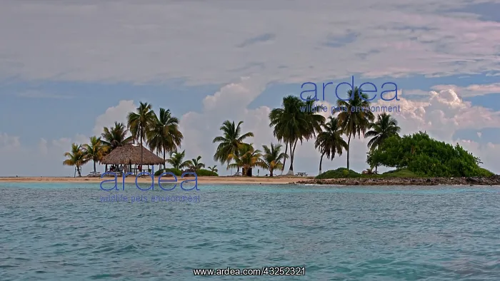 : Sailing by Goff Cay Island in Belize : Sailing by Goff Cay Island in Belize