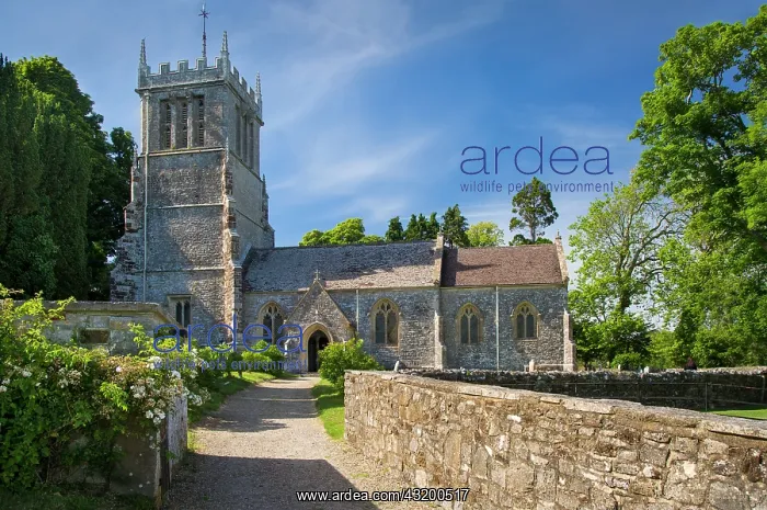 : Saint Andrews Church on the grounds of Lulworth : Saint Andrews Church on the grounds of Lulworth