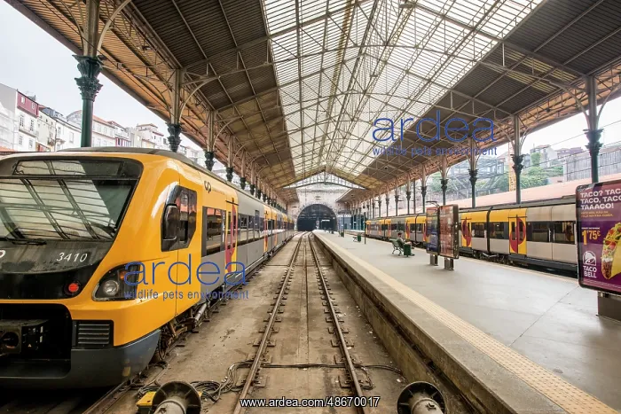 : Saint Benedict Train Station (Estacao de Sao Bento). Porto : Saint Benedict Train Station (Estacao de Sao Bento). Porto