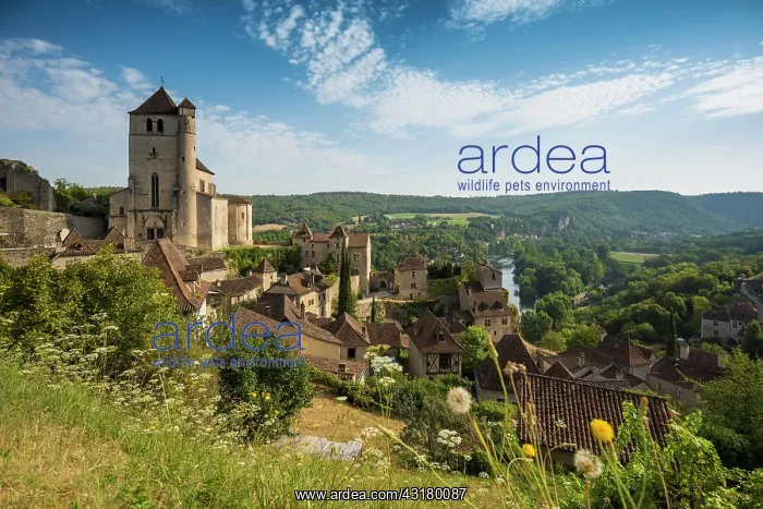 : Saint-Cirq-Lapopie, Les Plus Beaux Villages de France : Saint-Cirq-Lapopie, Les Plus Beaux Villages de France