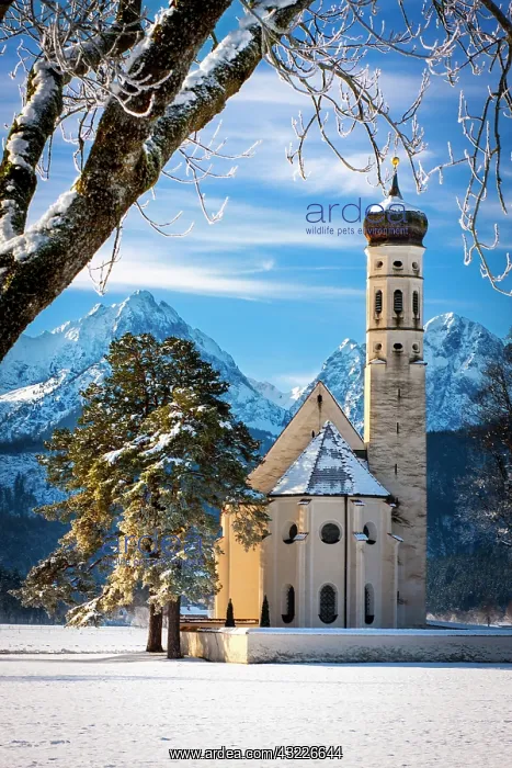 : Saint Coloman Church near Fussen, Bavaria : Saint Coloman Church near Fussen, Bavaria