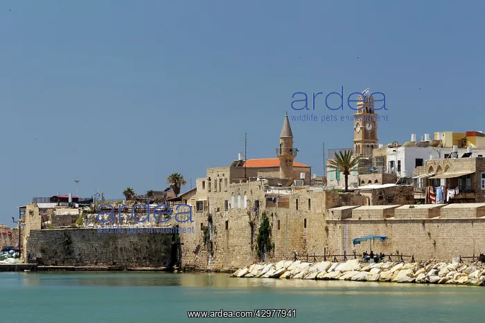  : Saint-Jean d'Acre