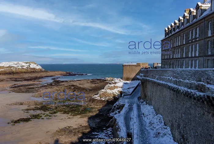 : SAINT MALO : SAINT MALO
