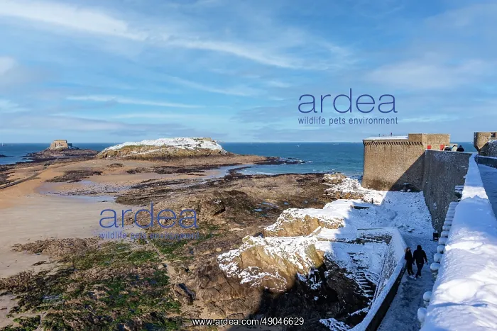 : SAINT MALO : SAINT MALO