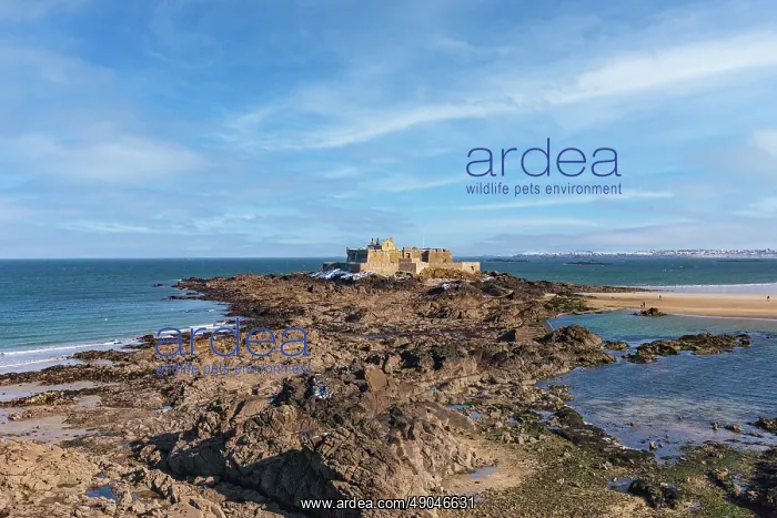 : SAINT MALO : SAINT MALO