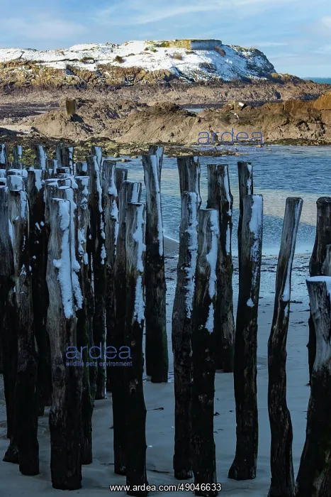 : SAINT MALO : SAINT MALO