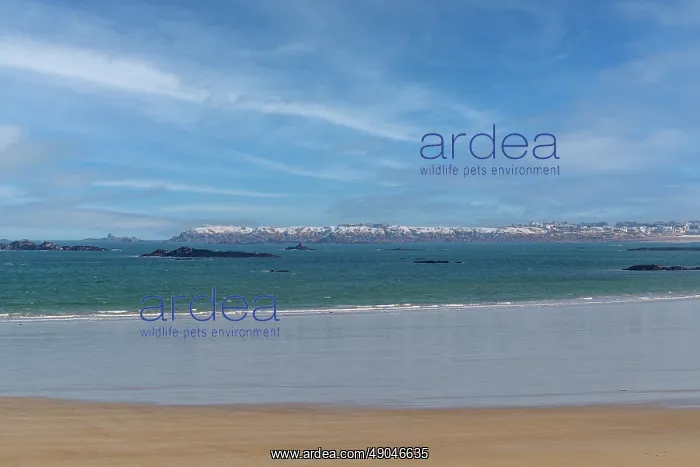 : SAINT MALO : SAINT MALO