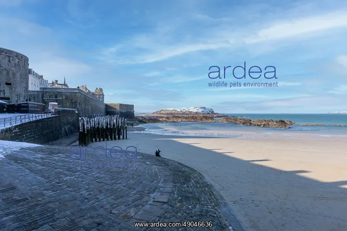 : SAINT MALO : SAINT MALO
