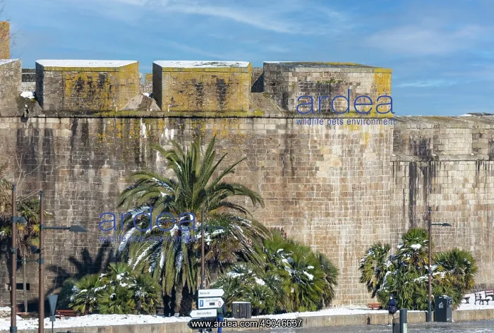 : SAINT MALO : SAINT MALO
