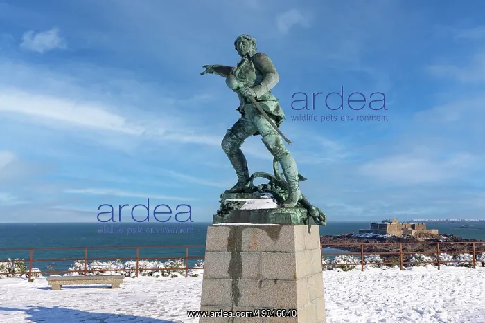 : SAINT MALO : SAINT MALO