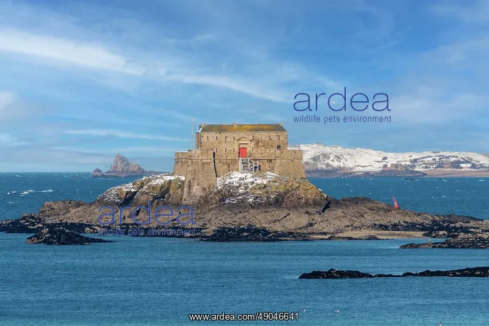 : SAINT MALO : SAINT MALO