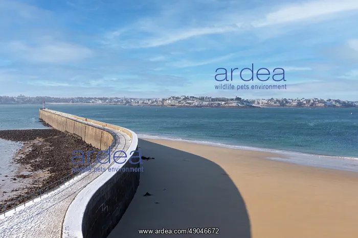  : SAINT MALO