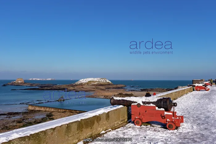  : SAINT MALO