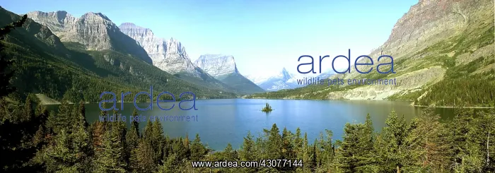 : Saint Mary Lake : Saint Mary Lake