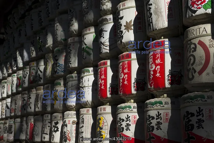 : Sake barrels - wrapped in straw (kazaridaru in Japanese : Sake barrels - wrapped in straw (kazaridaru in Japanese