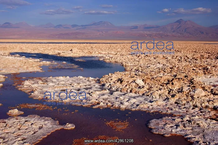 : Salar de Atacama - second biggest salt lake in : Salar de Atacama - second biggest salt lake in