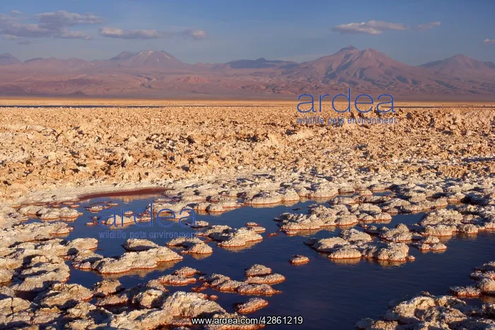 : Salar de Atacama - second biggest salt lake in : Salar de Atacama - second biggest salt lake in