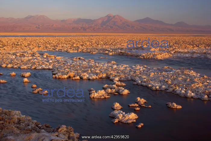 : Salar de Atacama - second biggest salt lake in : Salar de Atacama - second biggest salt lake in