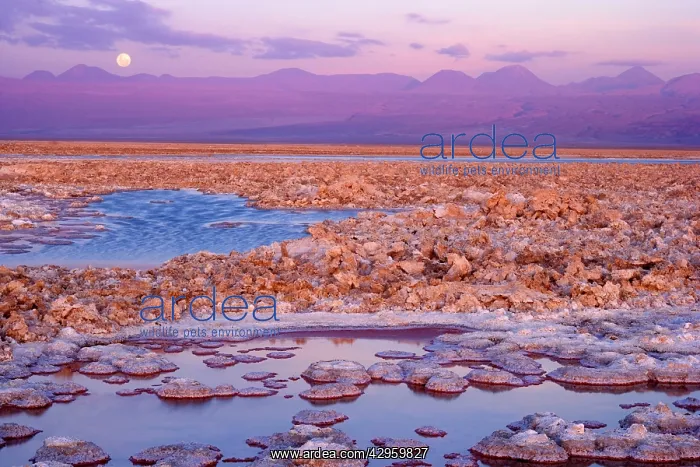 : Salar de Atacama - second biggest salt lake in : Salar de Atacama - second biggest salt lake in