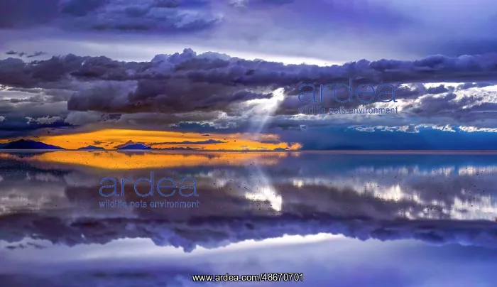 : Salar de Uyuni, Bolivia. Panorama view of world's largest : Salar de Uyuni, Bolivia. Panorama view of world's largest