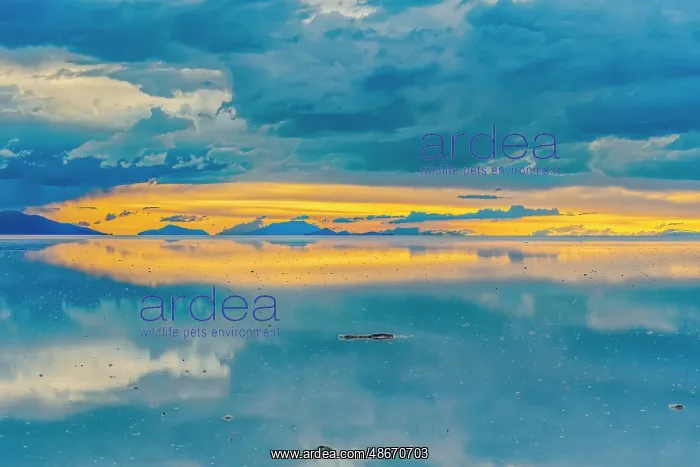 : Salar de Uyuni, Bolivia. Wide angle landscape view of sun : Salar de Uyuni, Bolivia. Wide angle landscape view of sun