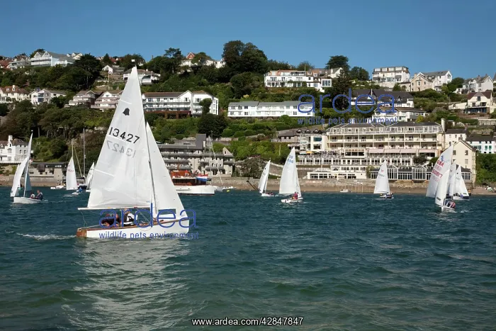 : Salcombe - boats on the Kingsbridge Estuary : Salcombe - boats on the Kingsbridge Estuary