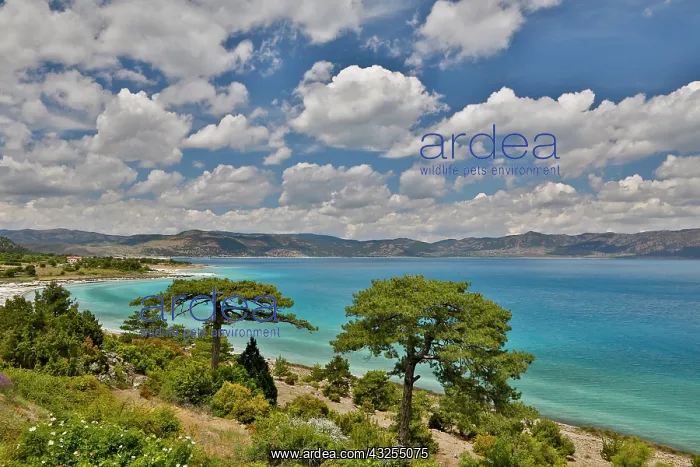: Salda Lake In Southwest Turkey with blue : Salda Lake In Southwest Turkey with blue