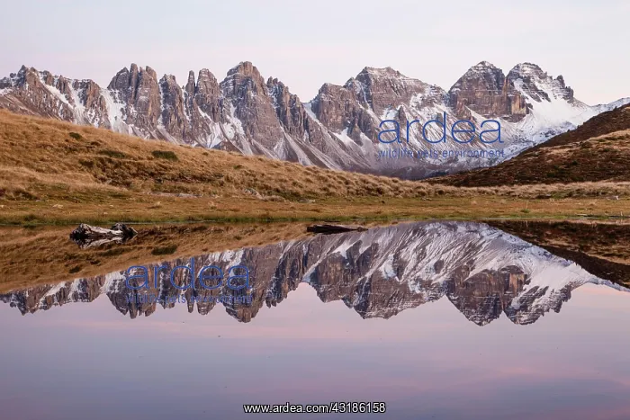 : Salfeinersee, Reflection of the Kalkkngel, Tyrol : Salfeinersee, Reflection of the Kalkkngel, Tyrol