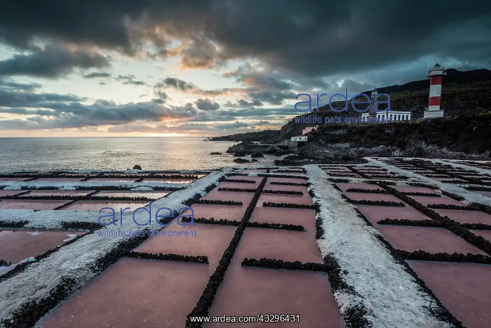 : Salinas of Fuencaliente with lighthouse Faro de : Salinas of Fuencaliente with lighthouse Faro de