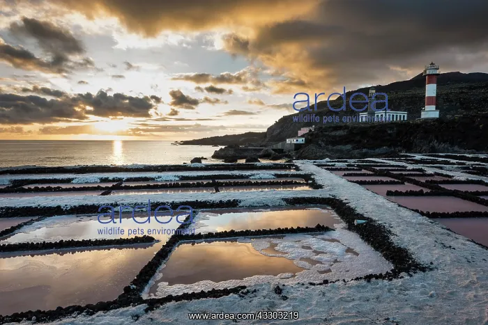: Salinas of Fuencaliente with lighthouse Faro de : Salinas of Fuencaliente with lighthouse Faro de