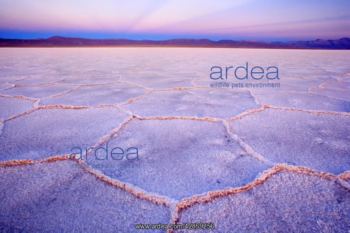 : Salinas Grandes del Noroeste - mountains and dried-up : Salinas Grandes del Noroeste - mountains and dried-up