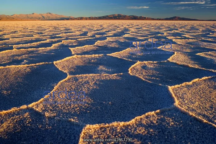 : Salinas Grandes del Noroeste - mountains and dried-up : Salinas Grandes del Noroeste - mountains and dried-up