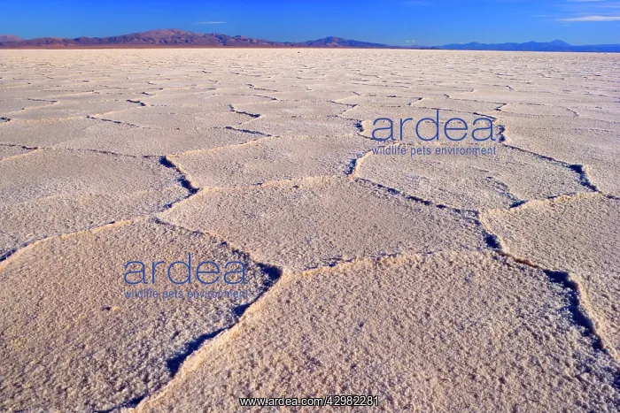 : Salinas Grandes del Noroeste - mountains and dried-up : Salinas Grandes del Noroeste - mountains and dried-up