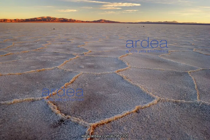 : Salinas Grandes del Noroeste - mountains and dried-up : Salinas Grandes del Noroeste - mountains and dried-up