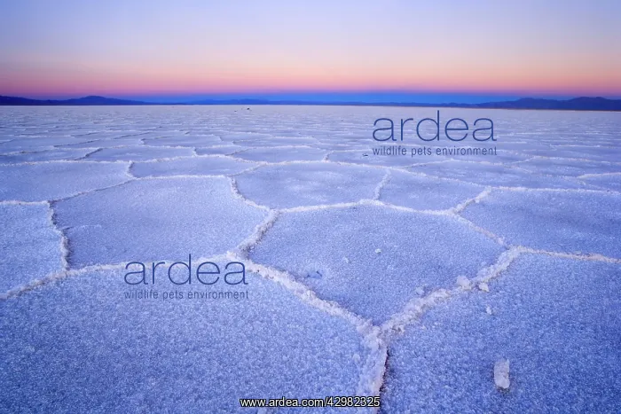 : Salinas Grandes del Noroeste - mountains and dried-up : Salinas Grandes del Noroeste - mountains and dried-up