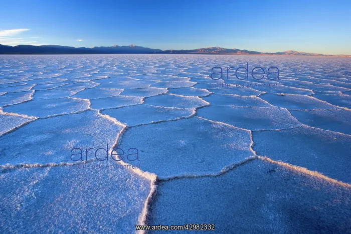 : Salinas Grandes del Noroeste - mountains and dried-up : Salinas Grandes del Noroeste - mountains and dried-up