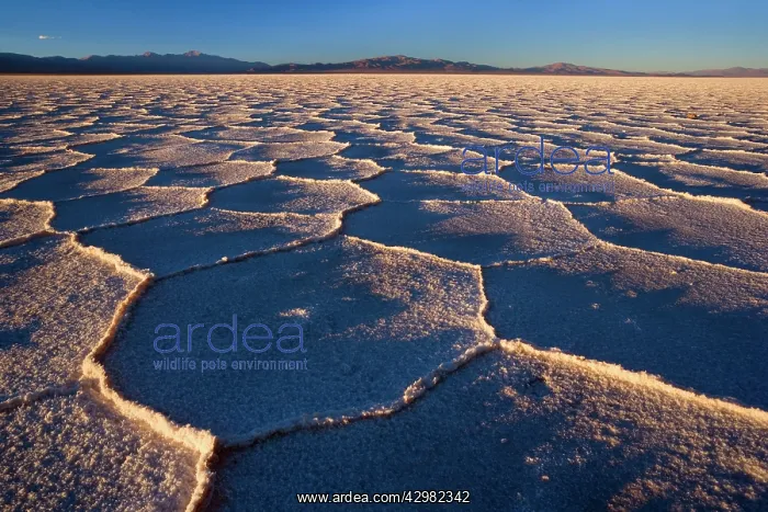 : Salinas Grandes del Noroeste - mountains and dried-up : Salinas Grandes del Noroeste - mountains and dried-up