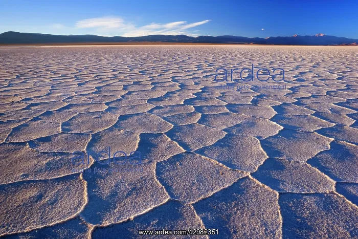 : Salinas Grandes del Noroeste - mountains and dried-up : Salinas Grandes del Noroeste - mountains and dried-up