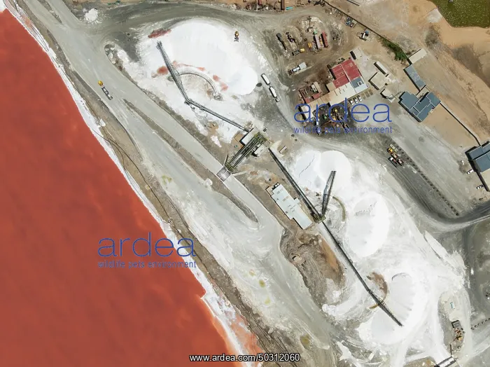 : Saline pond and salt heaps at the salt works of Walvis Bay Salt : Saline pond and salt heaps at the salt works of Walvis Bay Salt